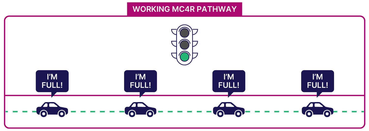 Functional MC4R signaling roadway